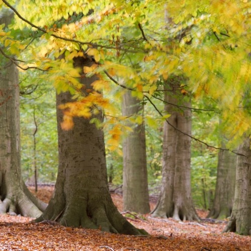 Photo de Jean-Pol THIRY